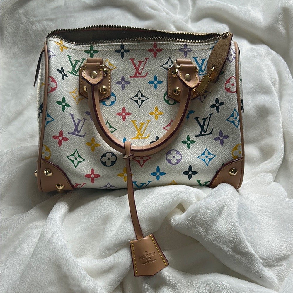 FAKE Louis Vuitton Multicolor Monogram Handbag
